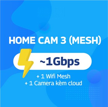 Home CAM 3 (01 Mesh)
